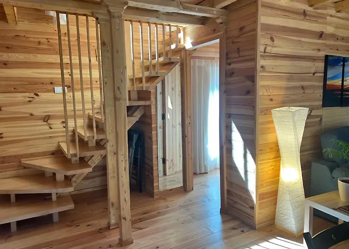 Del Bosque Cerca De *