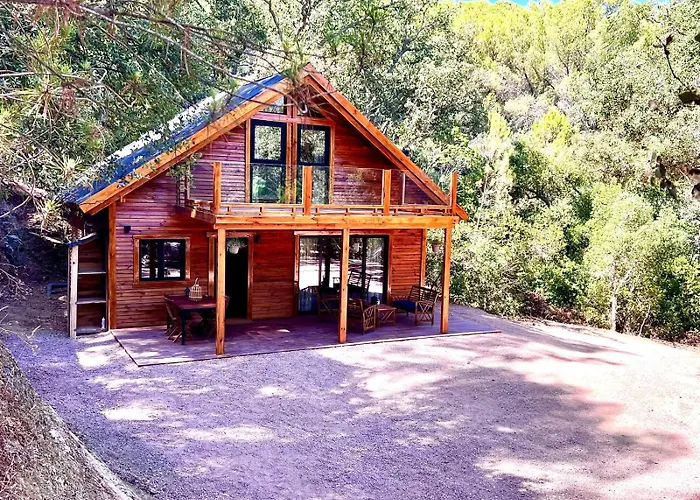 Del Bosque Cerca De *